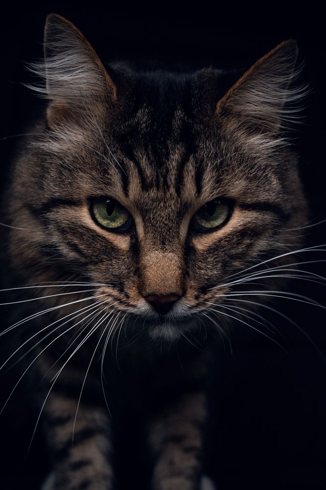 Photograph by Татьяна Носкович