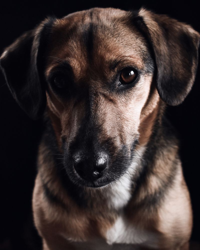 Photograph by Татьяна Носкович