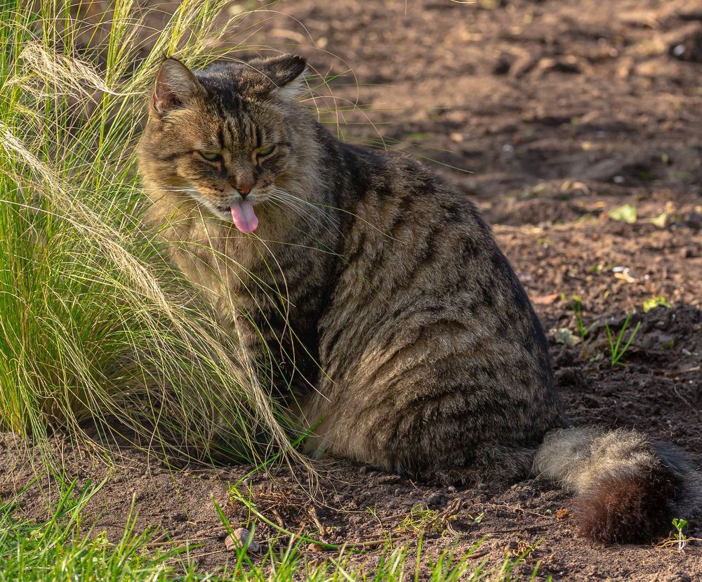 Photograph by juri kutukov