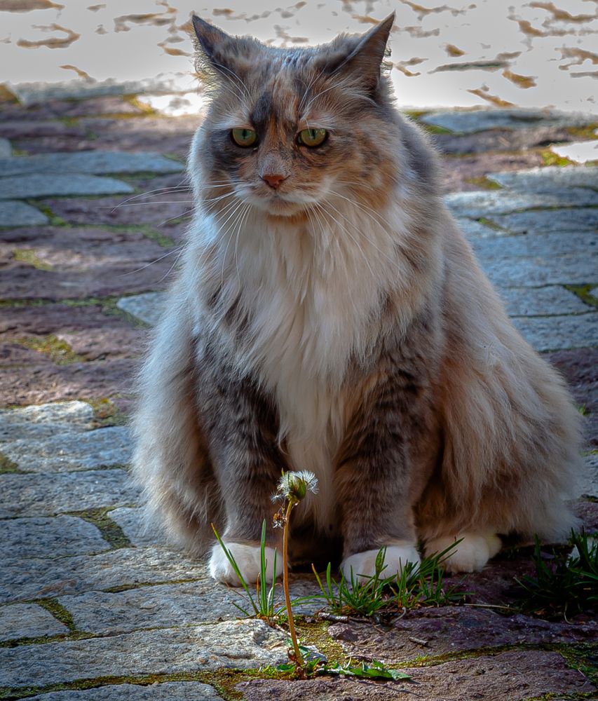 Photograph by juri kutukov