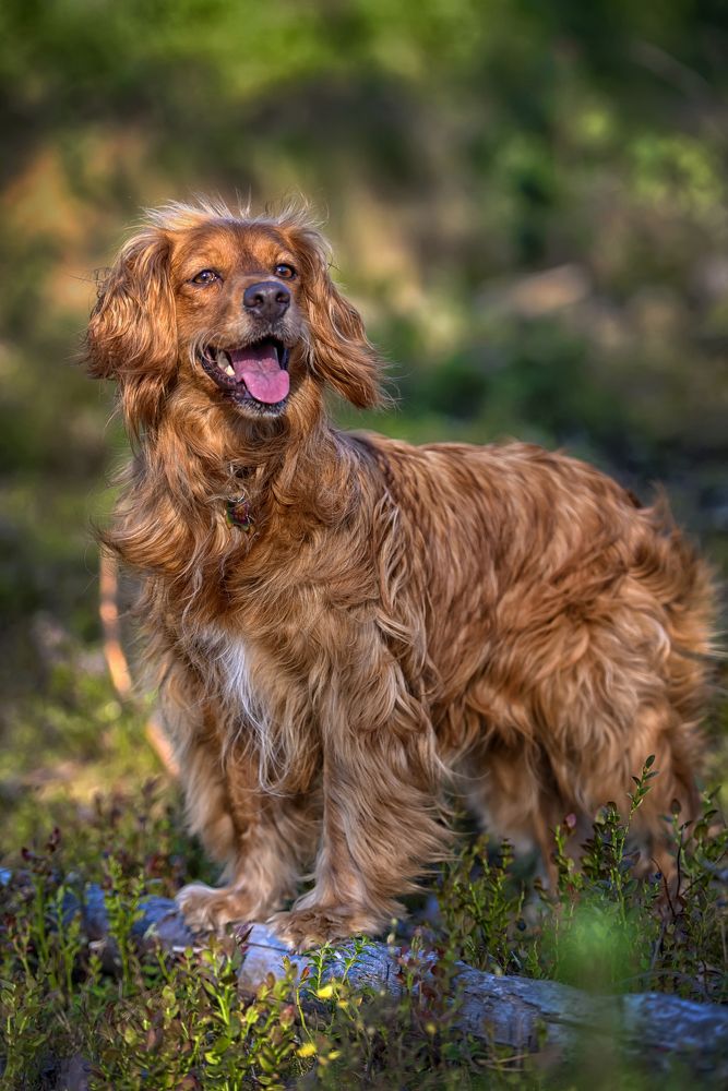 Photograph by Анна Кривицкая