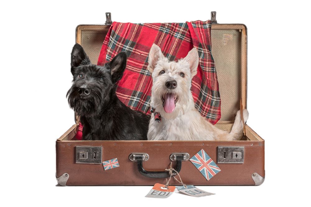 Фотография автора Гера Восьмая