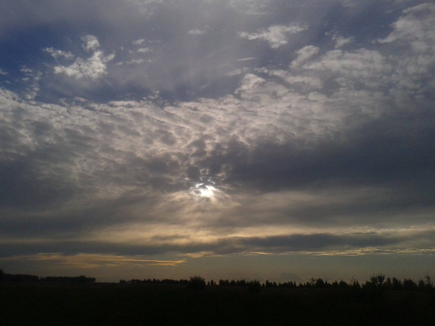 Photo #6068720