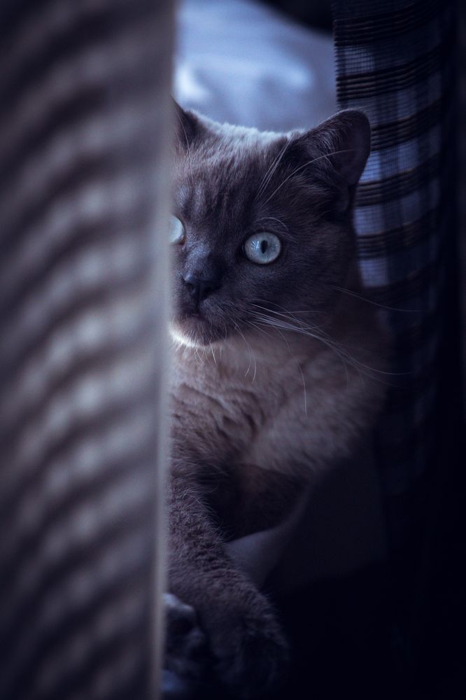 Photograph by Tatiana Kurilas