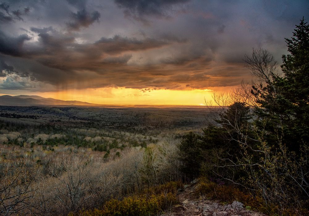 Photograph by Анастасия Клементьева