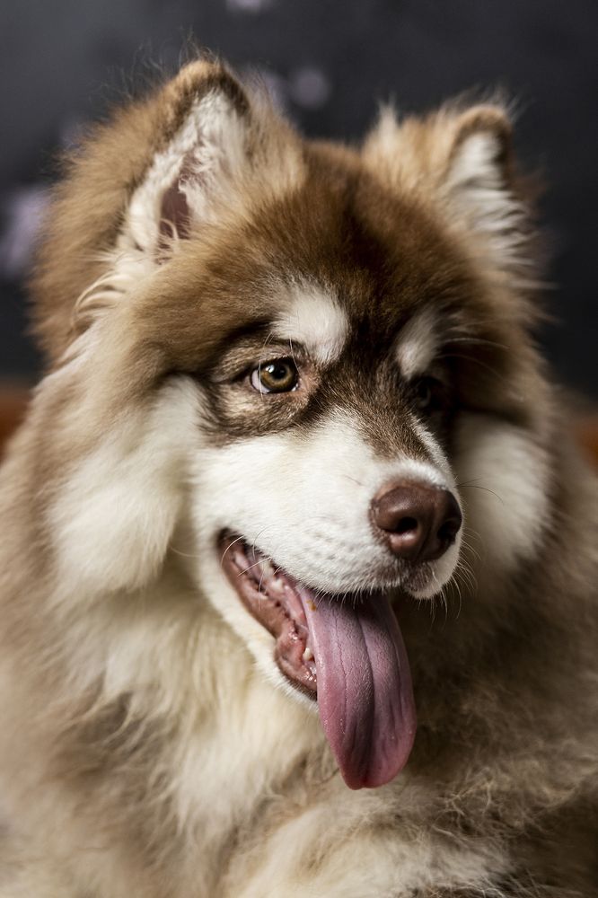 Photograph by Ronaldo Edson Reyes