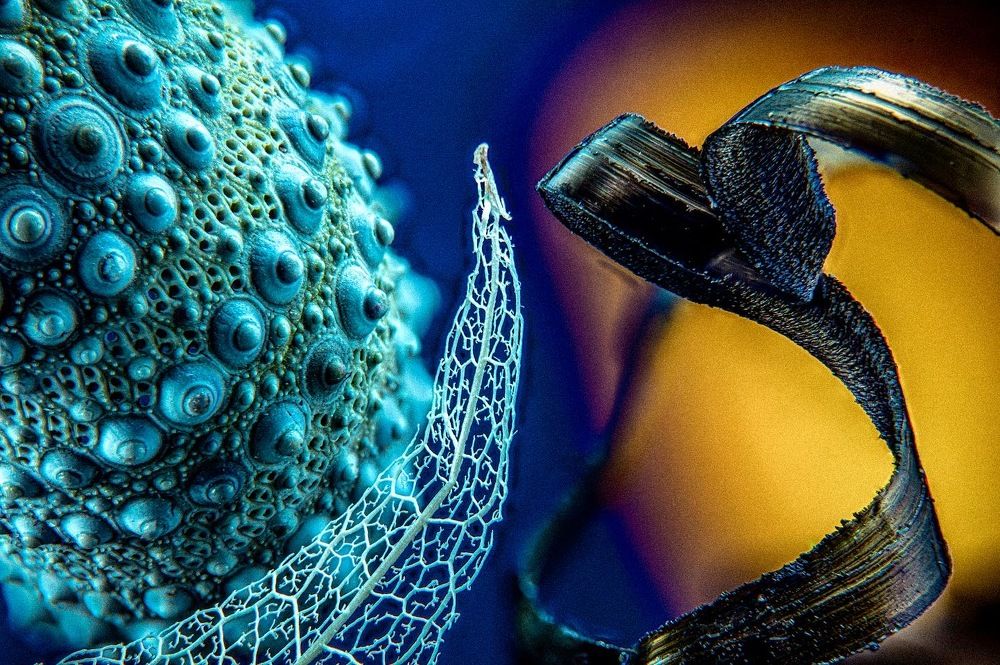 Photograph by Mohamed