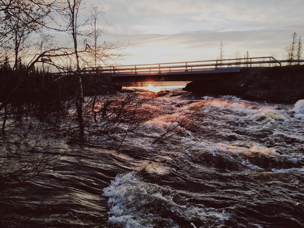Photo #6068769