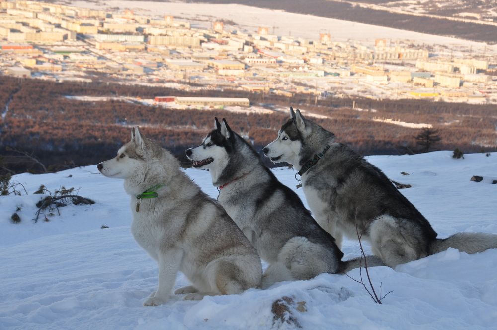 Photograph by Евгений Захаров
