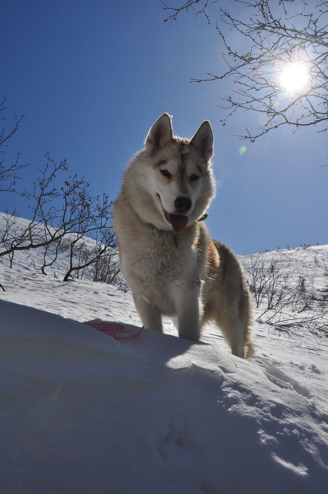 Photograph by Евгений Захаров