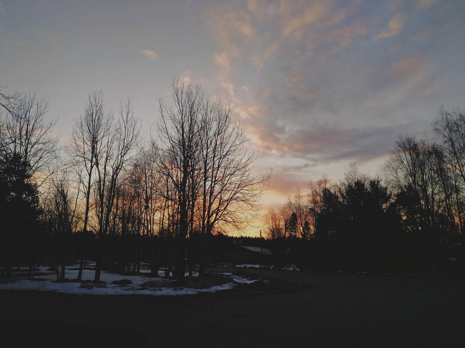 Photo #6068785