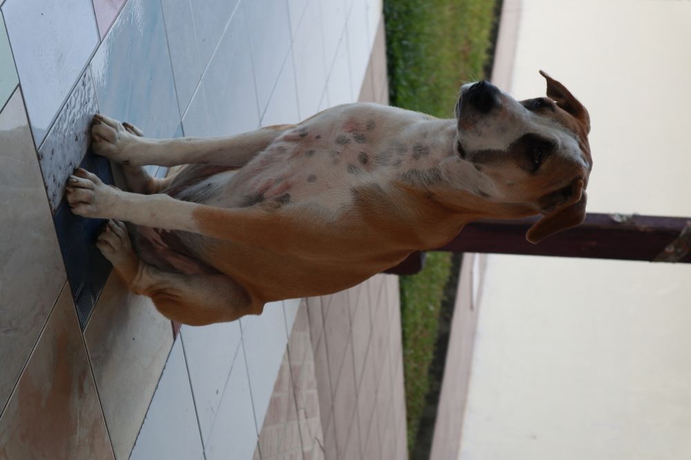 Photograph by Benny Momor