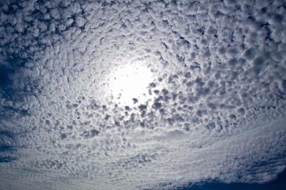 Photograph by Александр Белоус