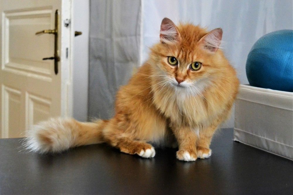 Photograph by Zdeňka Hudcová