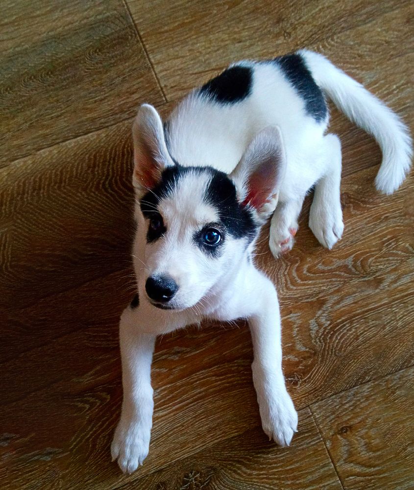 Photograph by Елена Коновалова