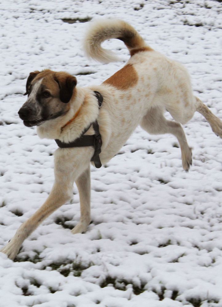 Photograph by GEORGIOS ARMOUTSIDIS