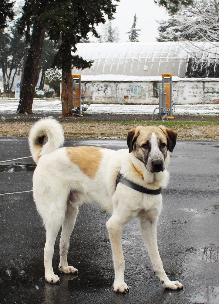 Photograph by GEORGIOS ARMOUTSIDIS