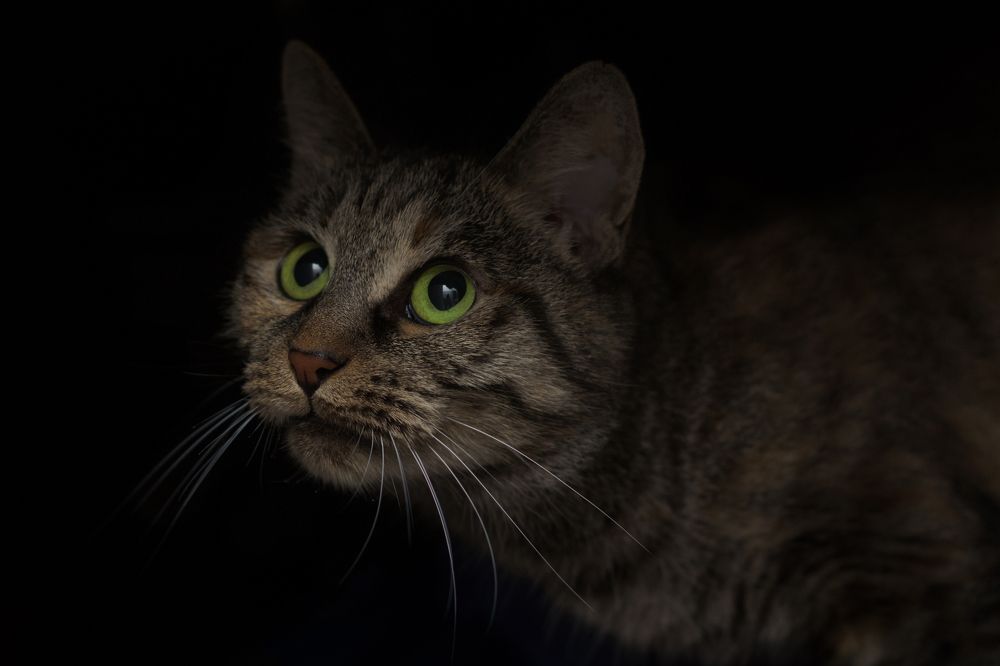 Photograph by Дмитрий Долгих