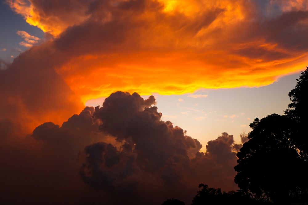 Photograph by Suneer S Subair