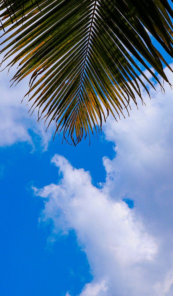 Photograph by Suneer S Subair