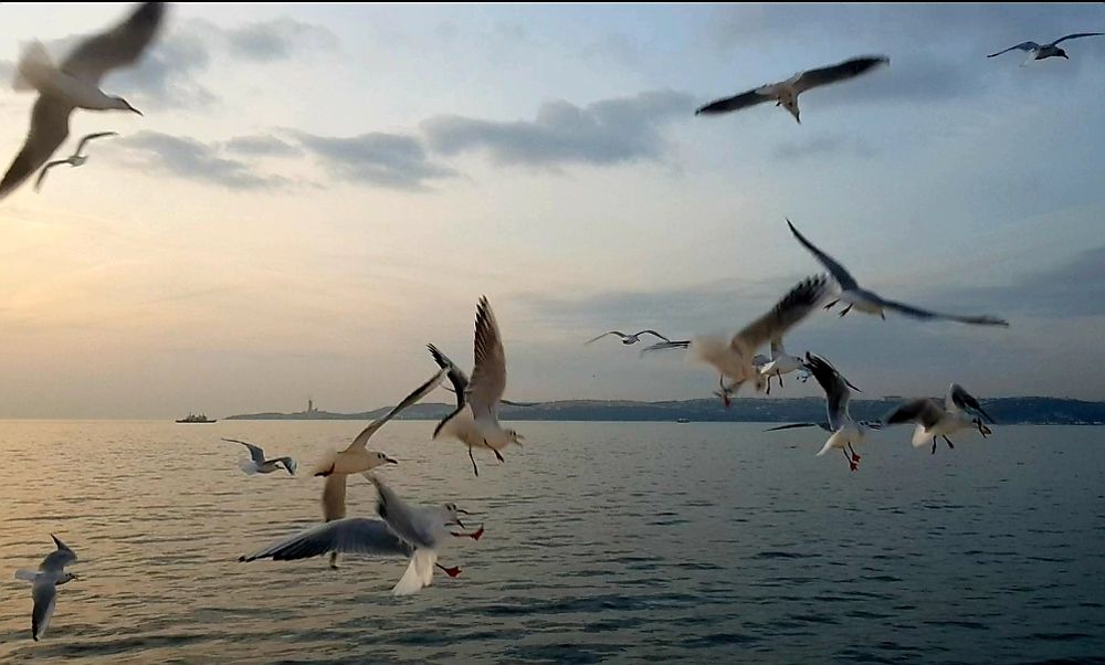 Над Мраморным морем. Турция.