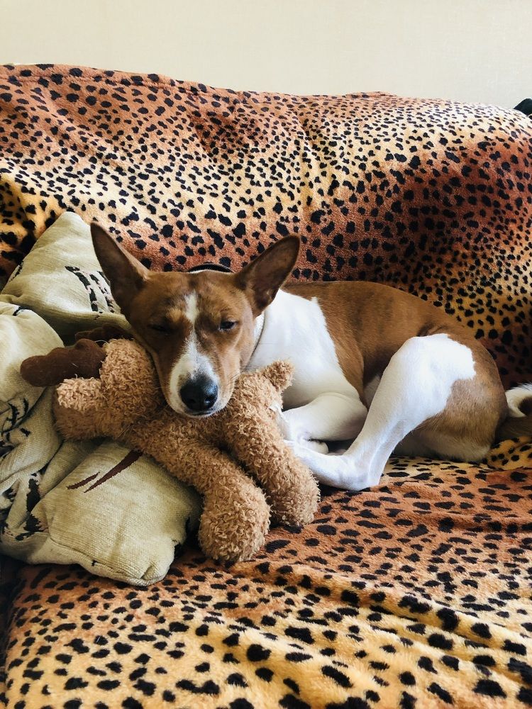 Фотография автора Татьяна Зынова