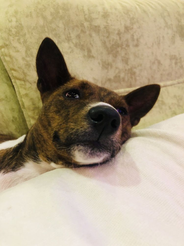 Фотография автора Татьяна Зынова