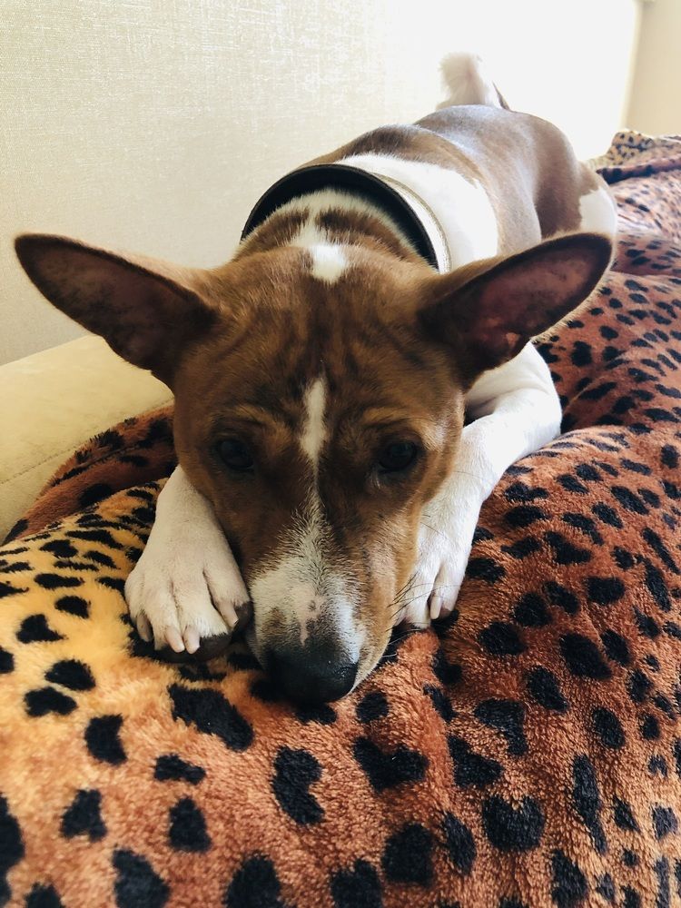 Фотография автора Татьяна Зынова