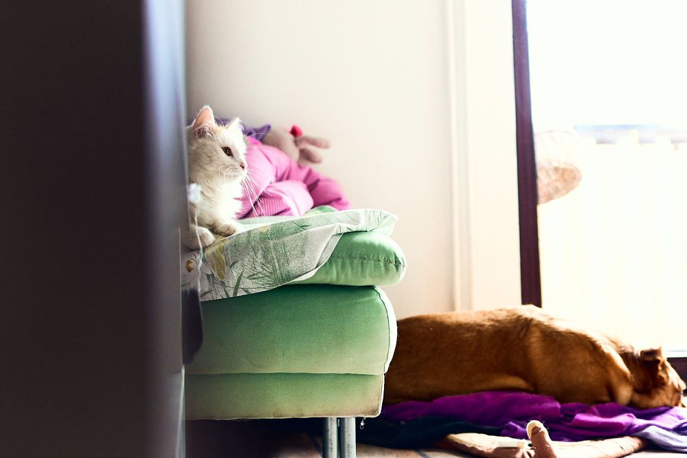 Photograph by Tjaša Završnik