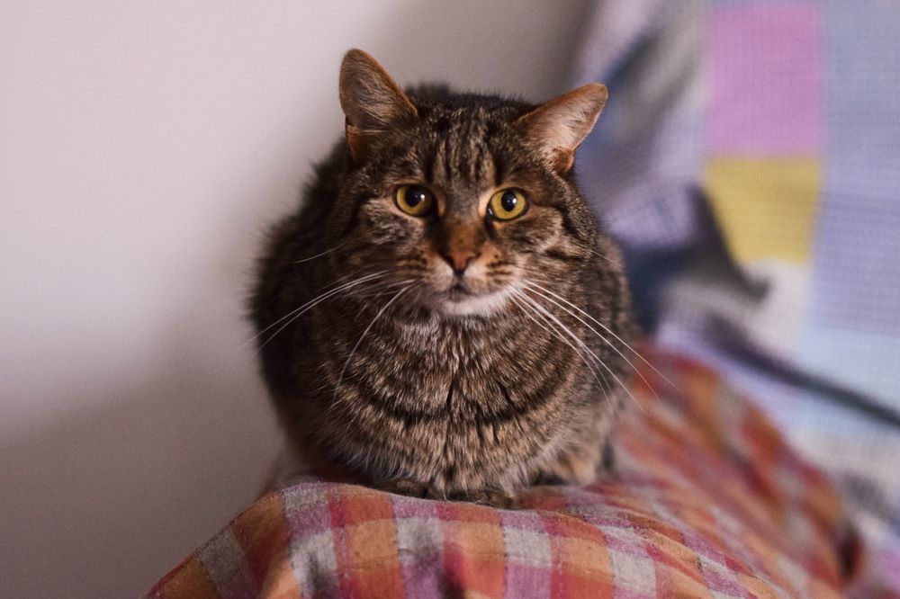 Photograph by Tjaša Završnik