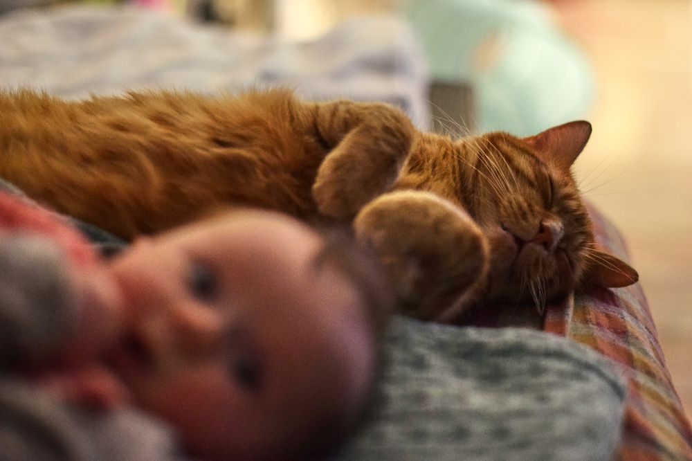 Photograph by Tjaša Završnik