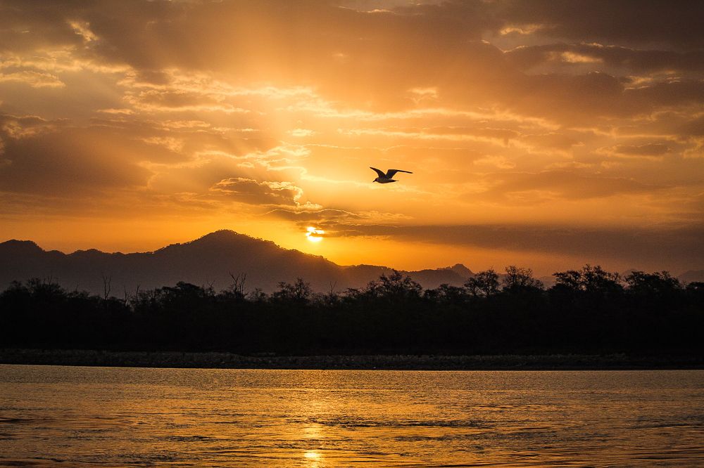 Photograph by Anubhav Saxena