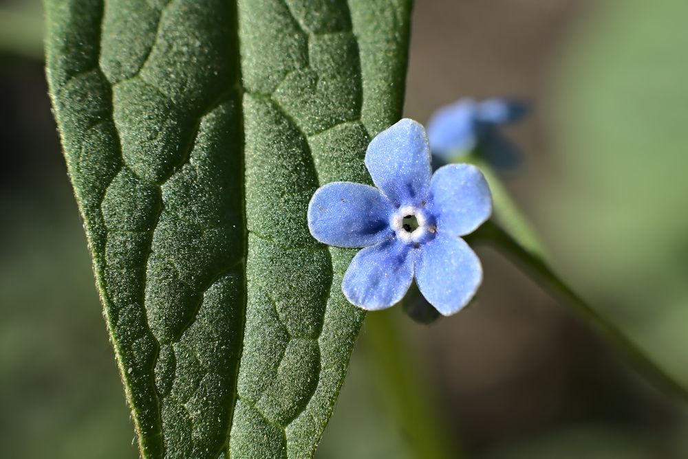 Photograph by Олег Каракин