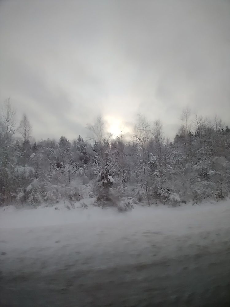 Photograph by Татьяна Шилина