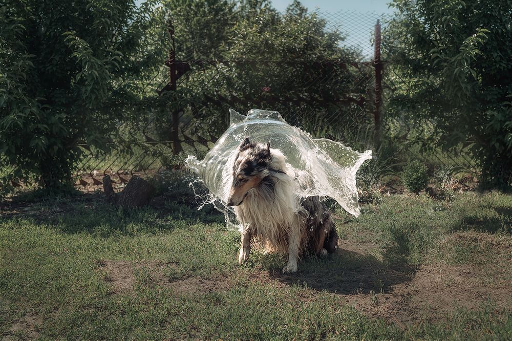 Photograph by  Мария