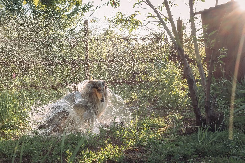 Photograph by  Мария