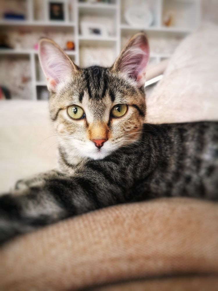 Photograph by Наталья Асоскова