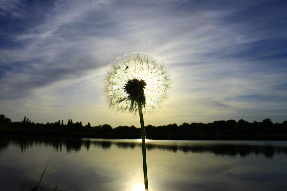 Photograph by Алексей Мосейко