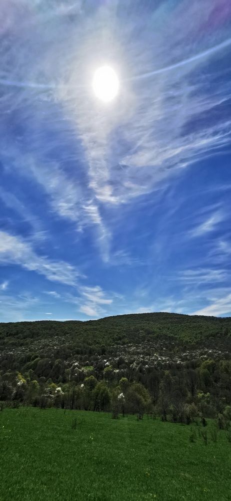 Photograph by Вячеслав Николаев