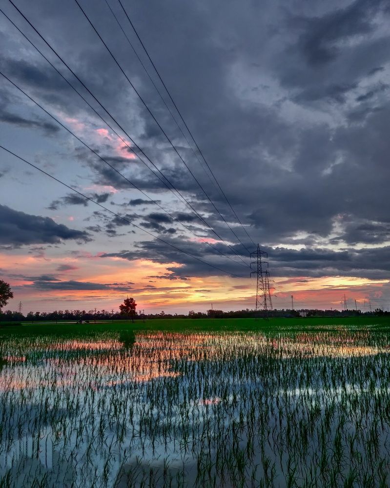 Photograph by Amit Singla