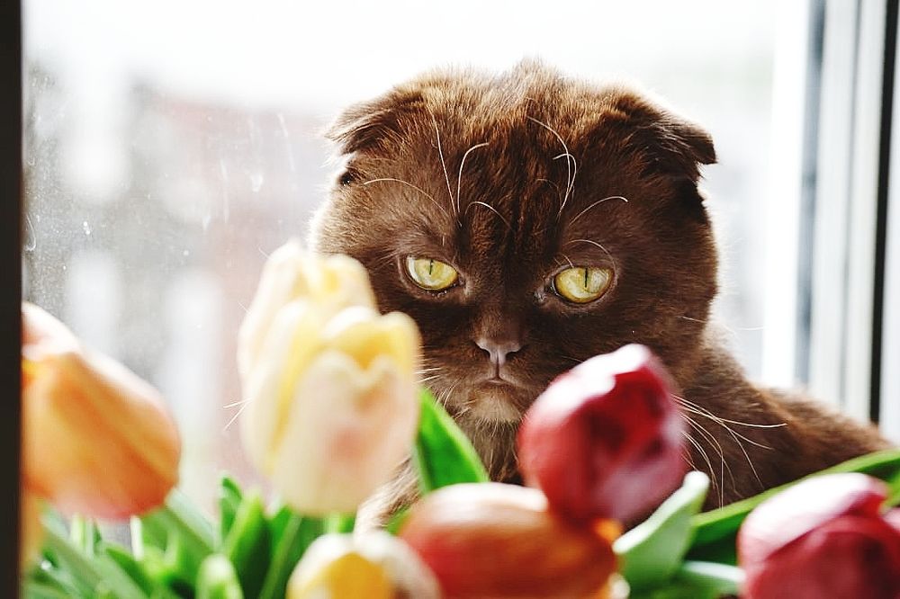 Photograph by Надежда Сабаева