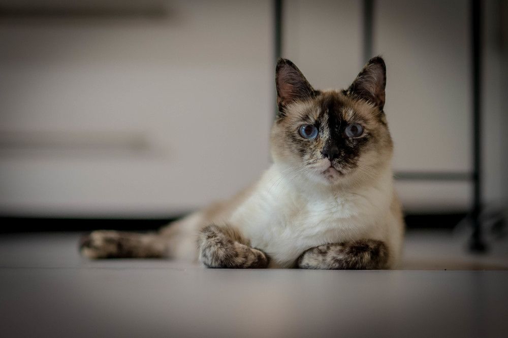 Photograph by Сергей