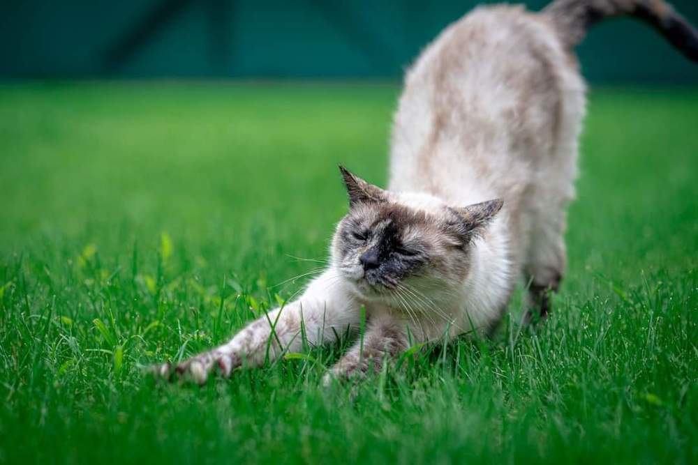 Photograph by Сергей