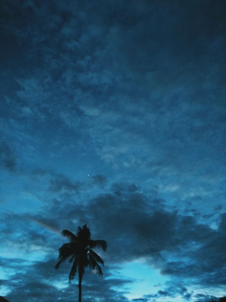 Tree of Life