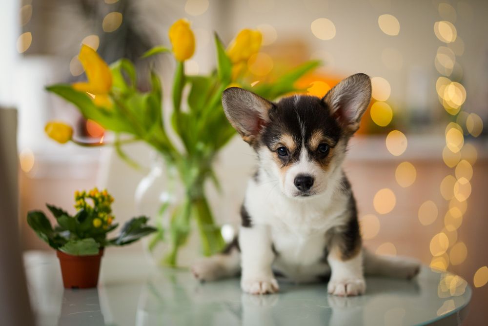 Photograph by Лиля