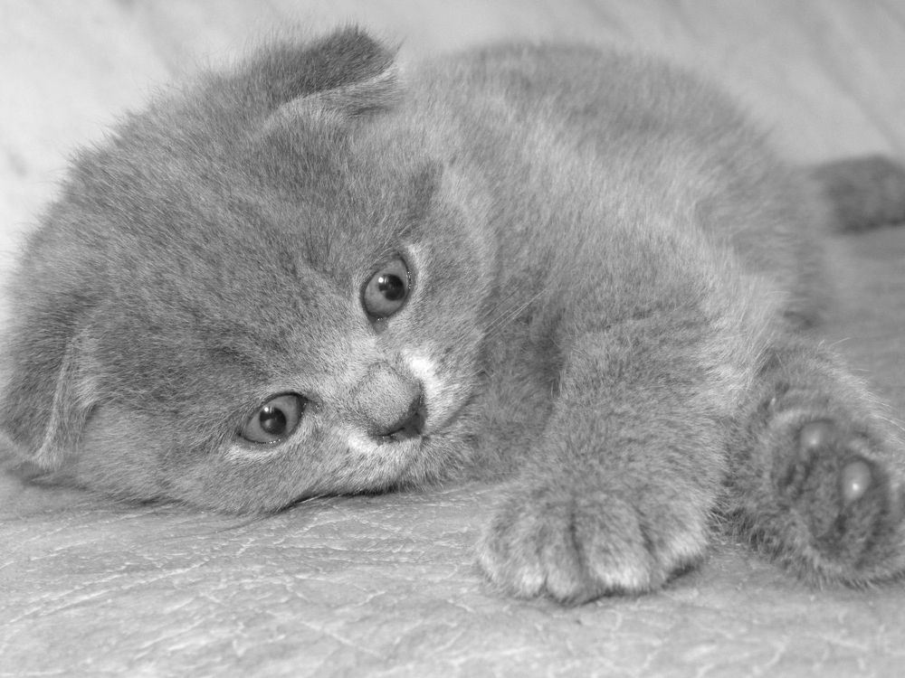 Photograph by Александр Малютин