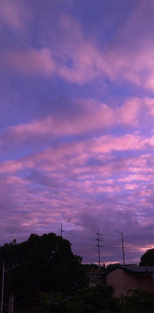 Photograph by Alexa Preconcillo