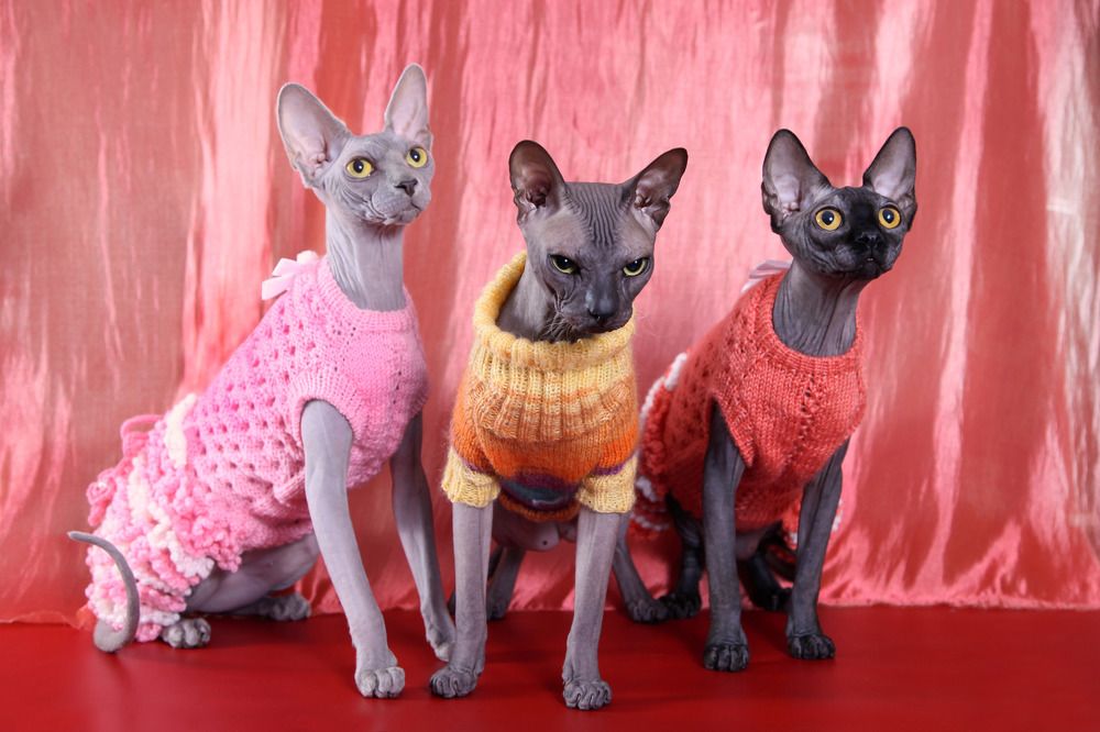 Photograph by Анастасия Чугунова