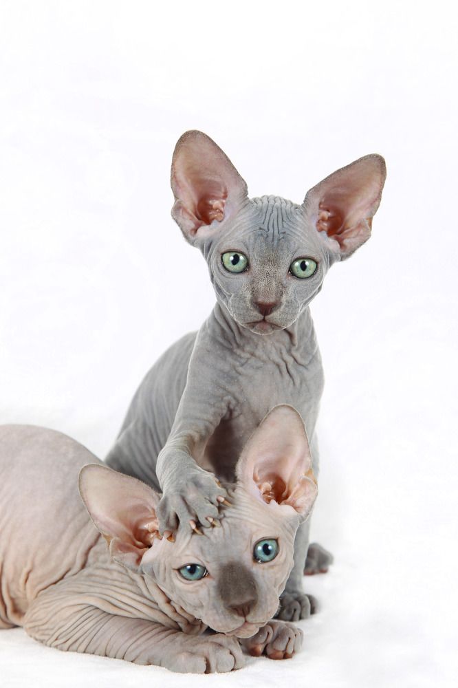 Photograph by Анастасия Чугунова