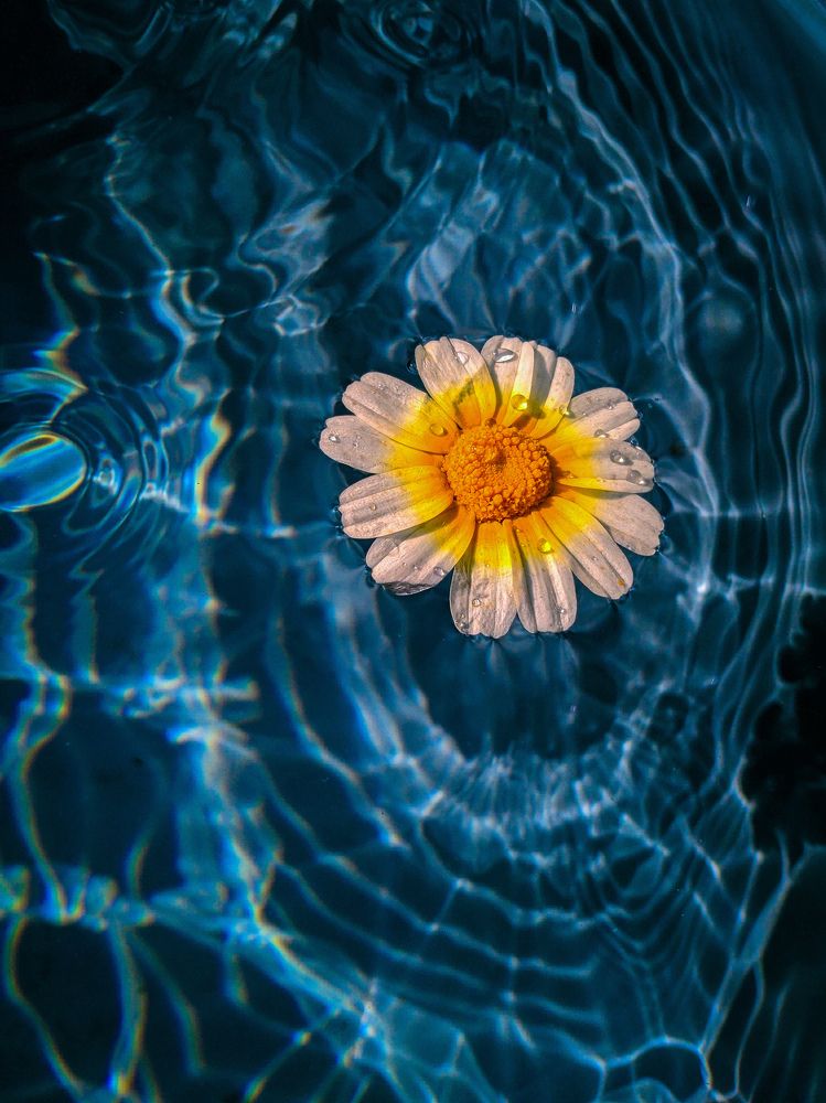 Photograph by Umar Arshad